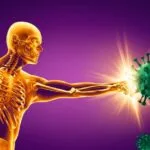 Unlocking Immune System 3 Dangerous Disorders and the Essential Habits to Shield Your Health