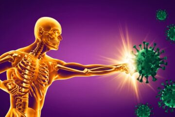 Unlocking Immune System 3 Dangerous Disorders and the Essential Habits to Shield Your Health