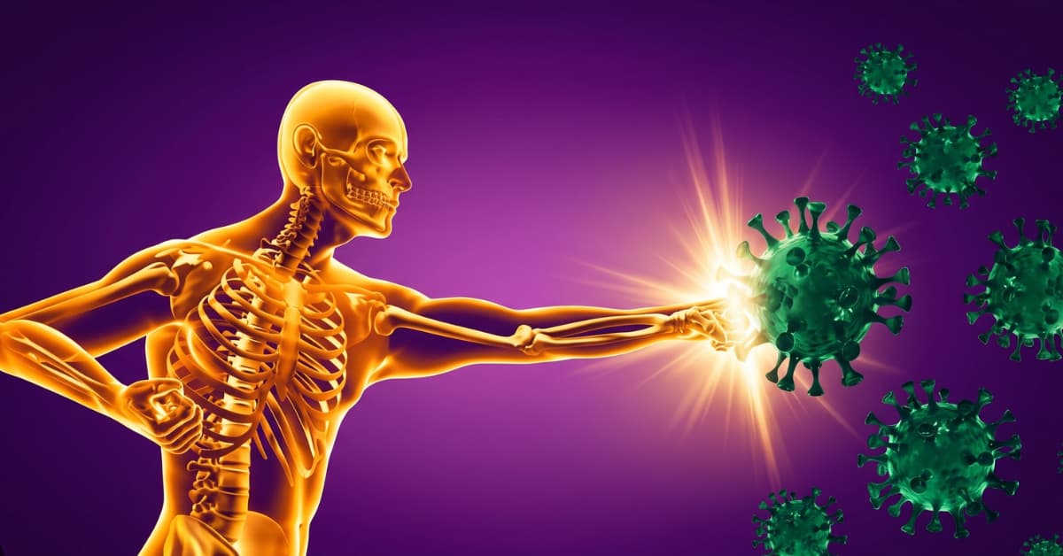 Unlocking Immune System 3 Dangerous Disorders and the Essential Habits to Shield Your Health